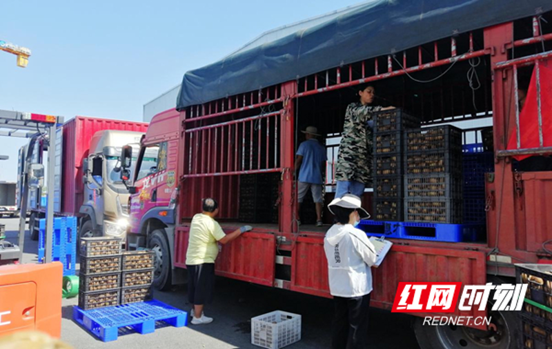 如何选择优质的食品供应商——以安徽食品公司为例